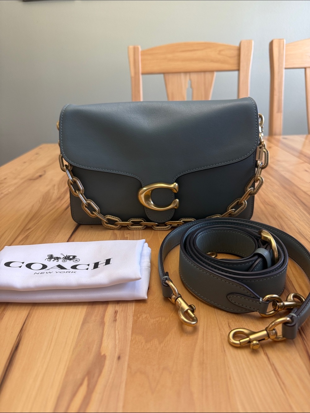 Coach Chain Tabby Shoulder Bag in Sage
